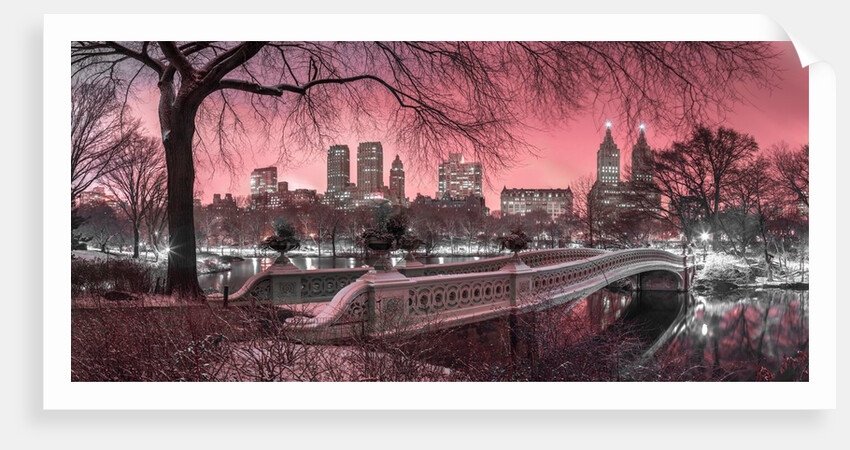 Central park, New York by Assaf Frank